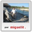 miguel